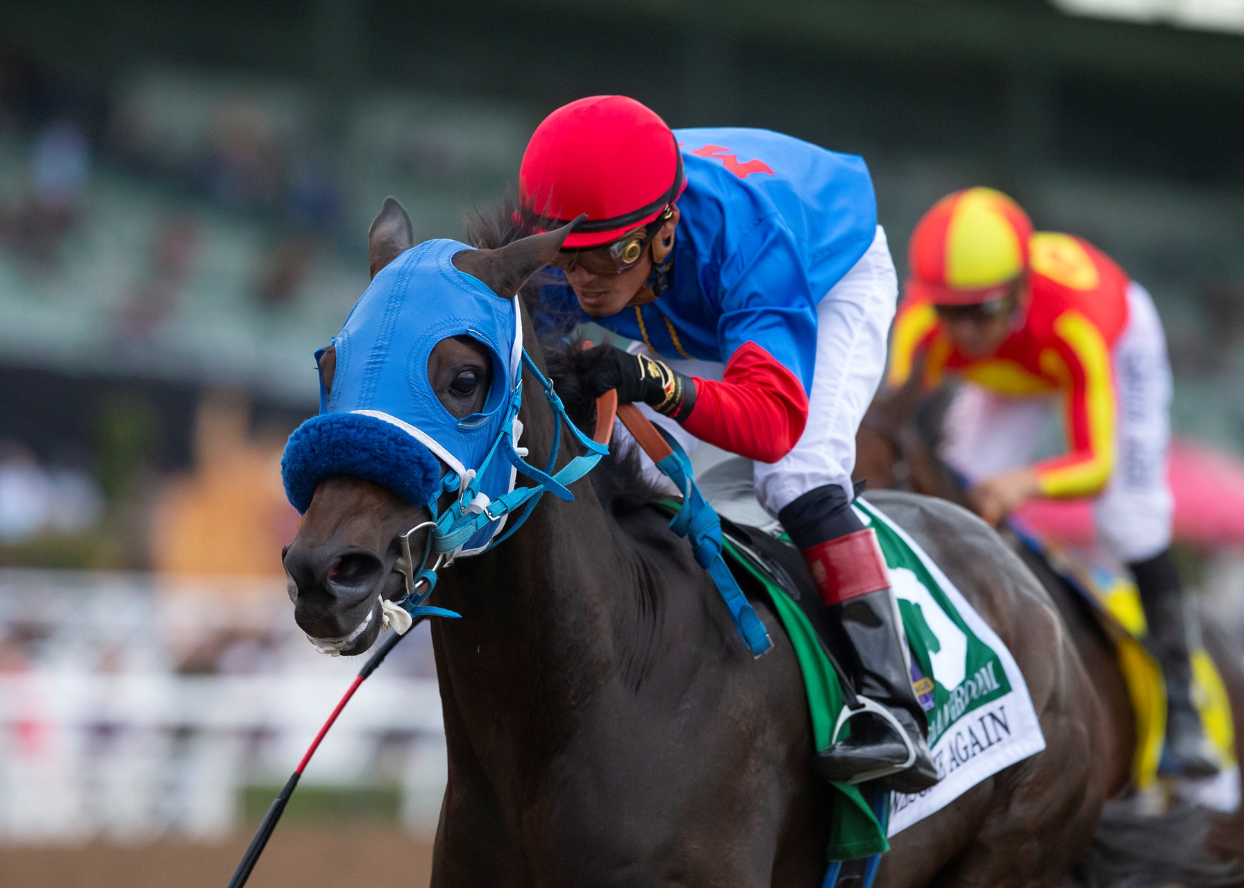 Mongolian Groom Bound for Breeders Cup Classic BloodHorse