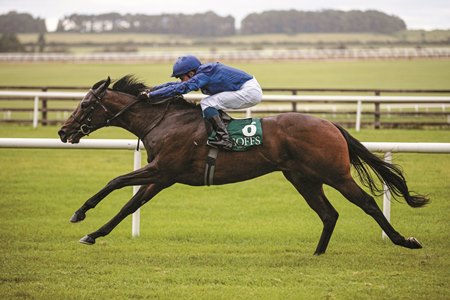 Pinatubo wins the 2019 Vincent O’Brien National Stakes at the Curragh