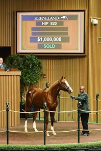 Spielberg sells for $1 million at the 2019 Keeneland September Yearling Sale