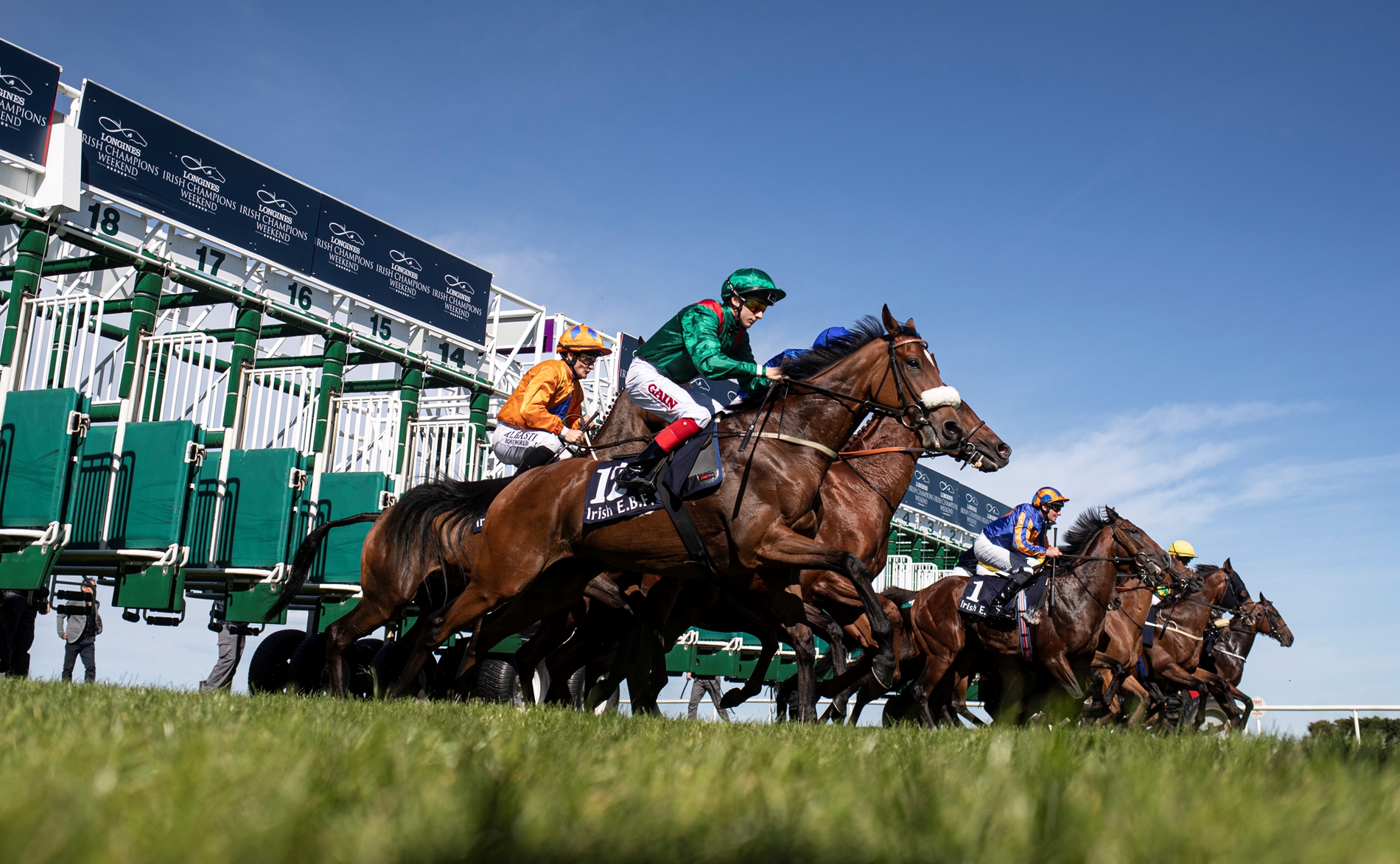 Horse Racing Ireland Releases 2020 Industry Figures BloodHorse