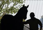 Scene
at Keeneland September sale.