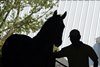 Scene
at Keeneland September sale.