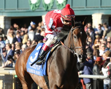 Cambier Parc - Horse Profile - BloodHorse