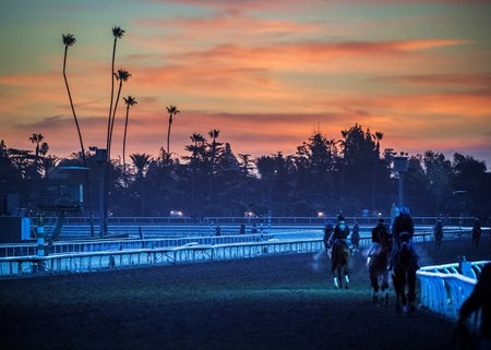 Horses train during the 2019 autumn meet at Santa Anita Park