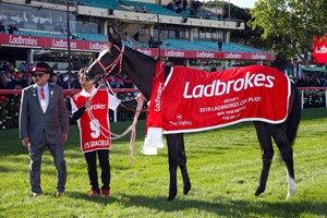 Sadler S Joy Wins Pan American At Wire Bloodhorse
