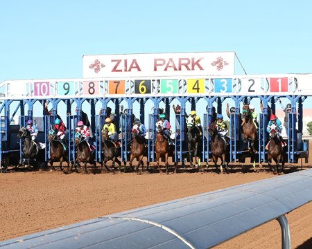 Horses break from the starting gate at Zia Park