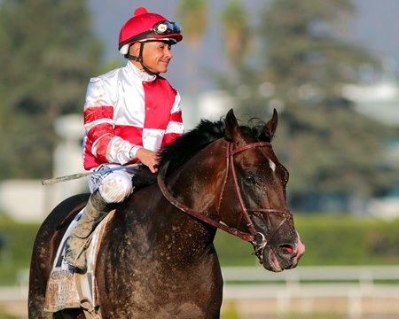 Omaha Beach Makes Presence Known In Ntra Poll Bloodhorse