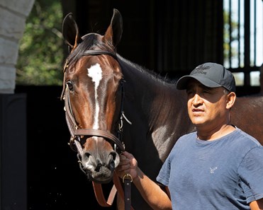 Rushing Fall - Horse Profile - BloodHorse