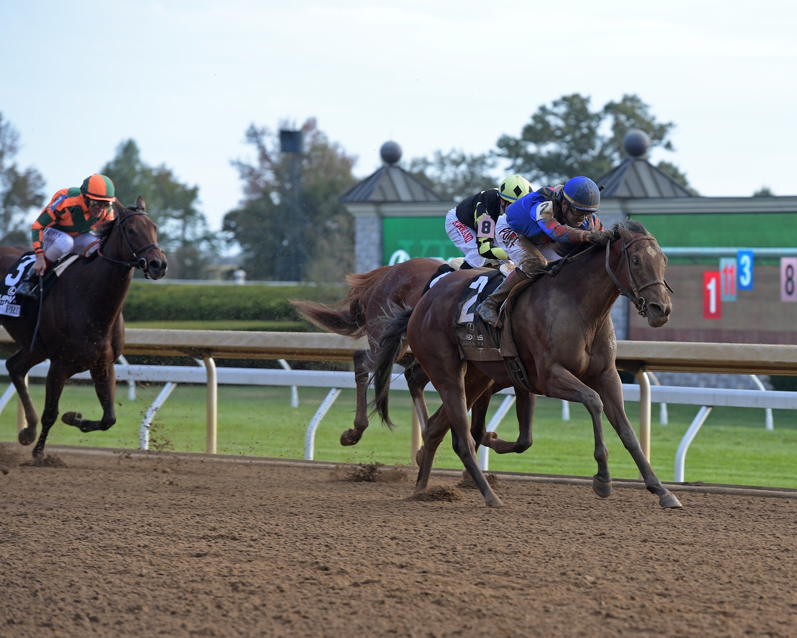 Bell's The One - Horse Profile - BloodHorse