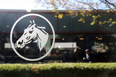 Scenics, 2019 Fasig-Tipton October Sale