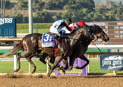 Omaha Beach Horse Profile Bloodhorse