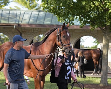 Bell's the One - Horse Profile - BloodHorse