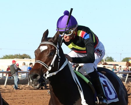 Zia Park Derby Tops Land Of Enchantment Day Stakes Bloodhorse