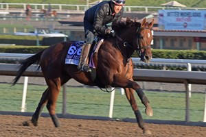 Drayden Van Dyke Returns To Racing At Santa Anita Bloodhorse