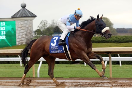 Tom's d'Etat - Horse Profile - BloodHorse