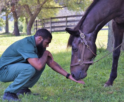 Trf Legend Quick Call Euthanized At 35 Bloodhorse