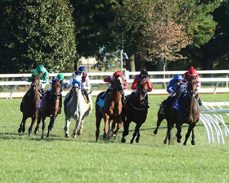 Cambier Parc leads the 2019 QEII Cup field into the stretch at Keeneland
