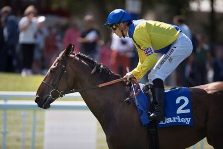 Marmelo warms up ahead of the 2018 Prix Kergorlay at Deauville