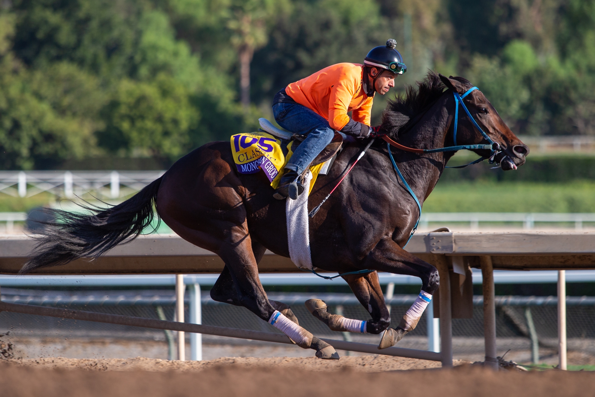 Mongolian Groom Turns in Final Work Ahead of BC Classic