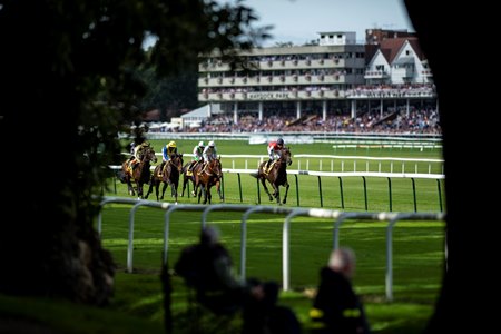 Racing at Haydock Park Racecourse