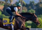 Adele Dilschneider Headlines Page 1 Of 2 Bloodhorse