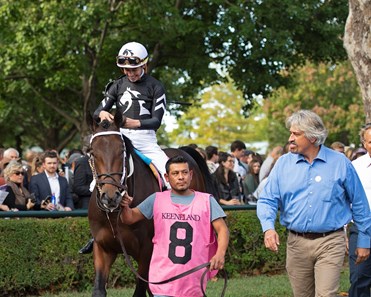 Wayne O Horse Profile Bloodhorse