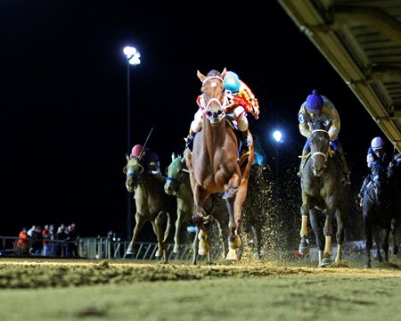 Charles Town to Welcome Back Spectators June 22 - BloodHorse