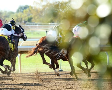 Engage - Horse Profile - BloodHorse