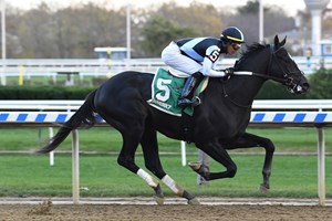 Yorkiepoo Princess Scores Again At Aqueduct Bloodhorse