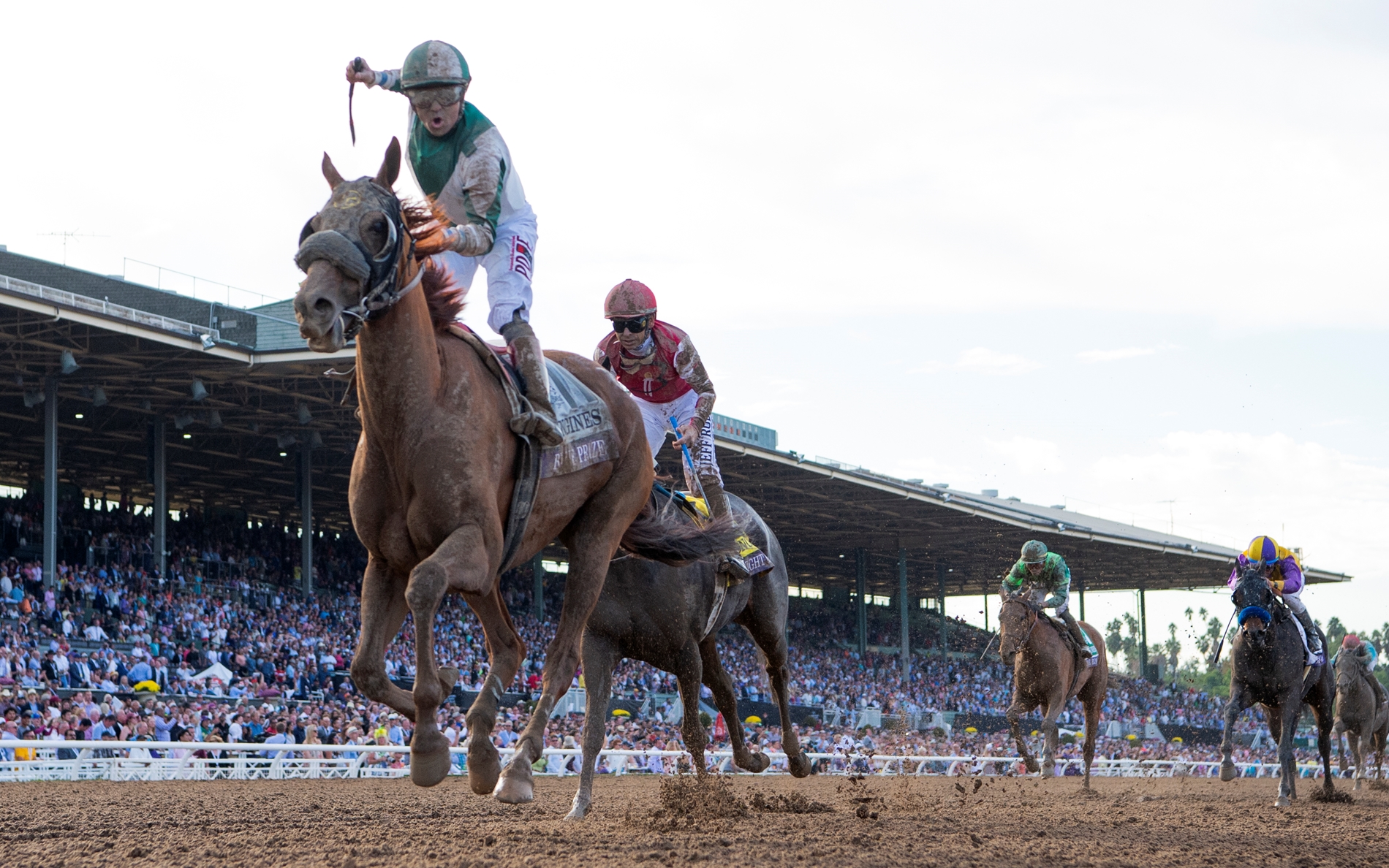 Blue Prize Rolls to Breeders Cup Distaff Win BloodHorse