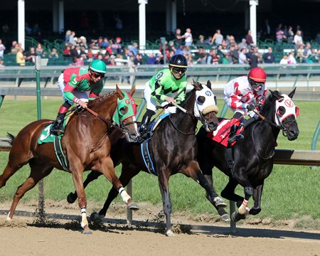 Comparing Equine Injury Rates Suggests U S Can Improve Bloodhorse