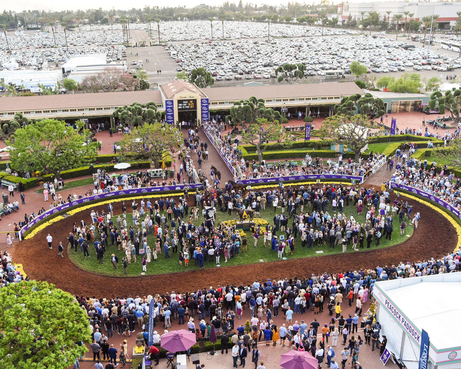 2019 Breeders Cup Saturday Slideshow BloodHorse