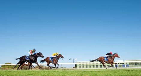 EU Audit Gives South African Racing Major Breakthrough - BloodHorse