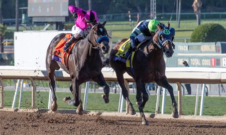 Storm the Court (inside) wins the Breeders' Cup Juvenile over Anneau d'Or at Santa Anita Park