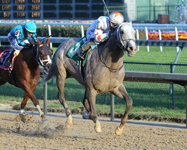 Volatile Stallion Volatile - Horse Profile - BloodHorse