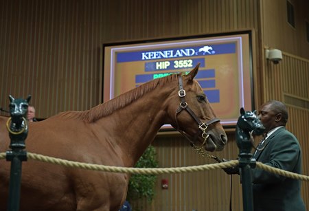 Inflamed Fires Up Keeneland November Sale Session Bloodhorse