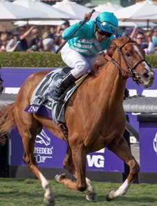 Joel Rosario celebrates victory in the TVG Breeders' Cup Mile