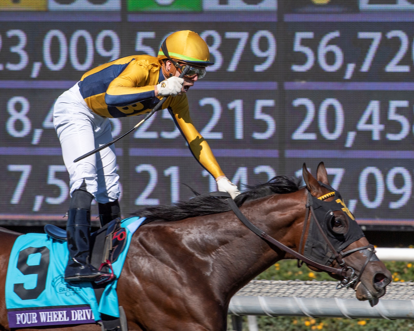 Four Wheel Drive Sold to Stand in Japan - BloodHorse