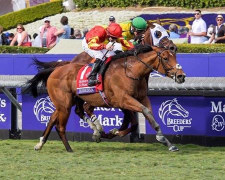 Iridessa and Wayne Lordan win the Breeders' Cup Maker's Mark Filly and Mare Turf (G1) on Nov. 2, 2019 Santa Anita in Arcadia, Ca.