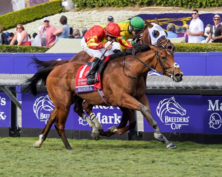 Iridessa and Wayne Lordan win the Breeders' Cup Maker's Mark Filly and Mare Turf (G1) on Nov. 2, 2019 Santa Anita in Arcadia, Ca. 