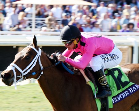 Belvoir Bay wins the Breeders' Cup Turf Sprint