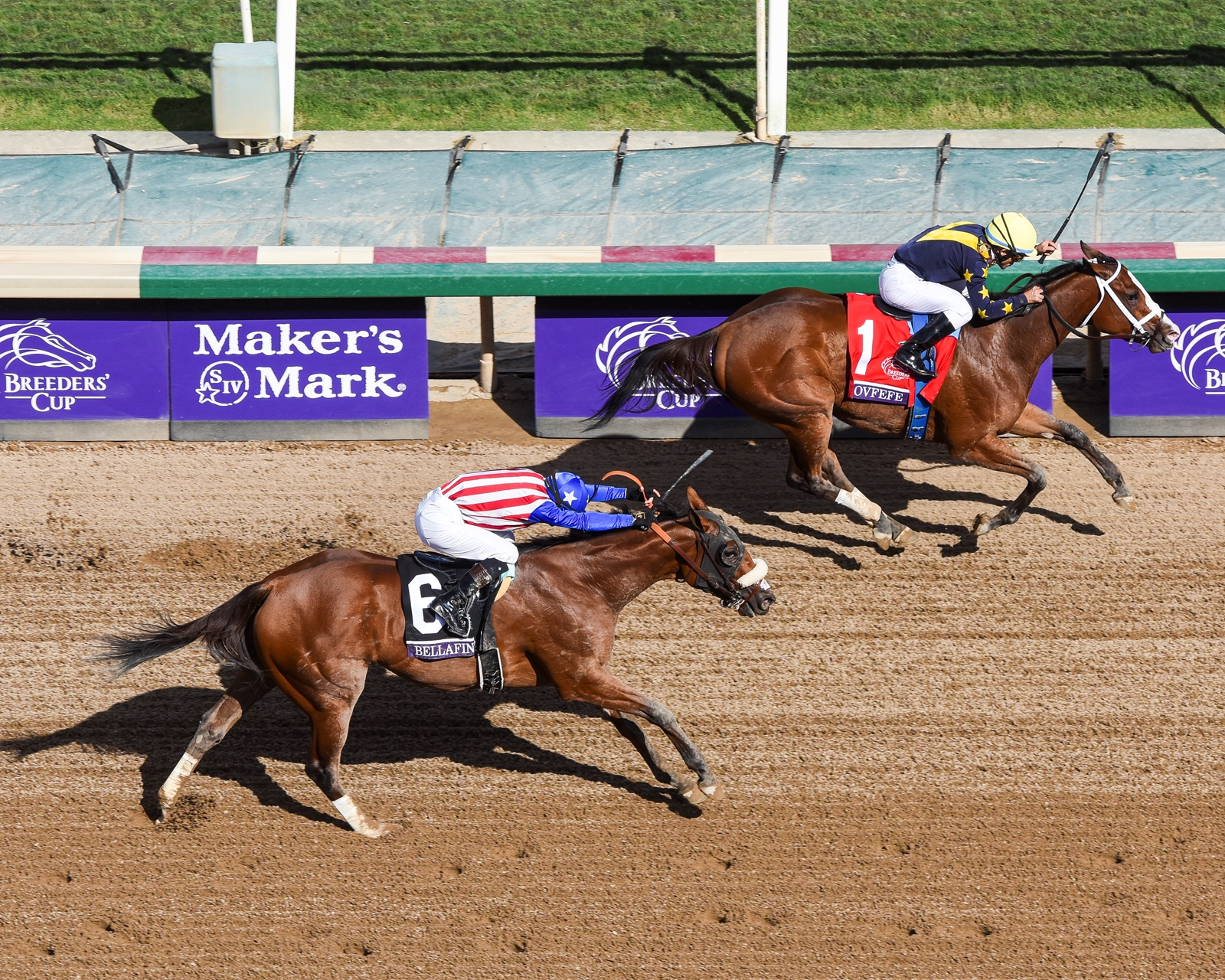 2019 Breeders Cup Saturday Slideshow BloodHorse