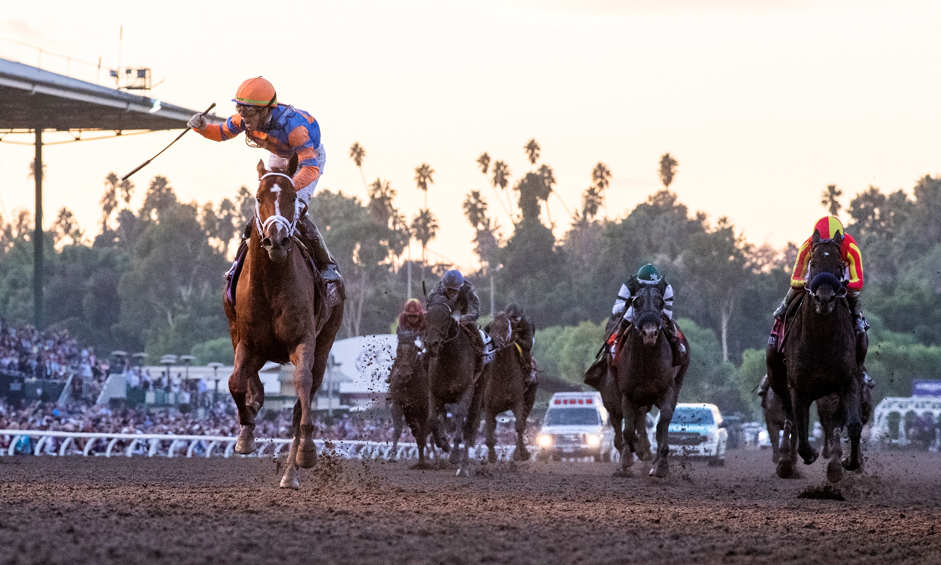 2019 Breeders Cup Saturday Slideshow BloodHorse