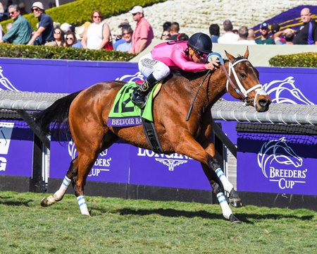 Belvoir Bay wins the Breeders' Cup Turf Sprint at Santa Anita Park