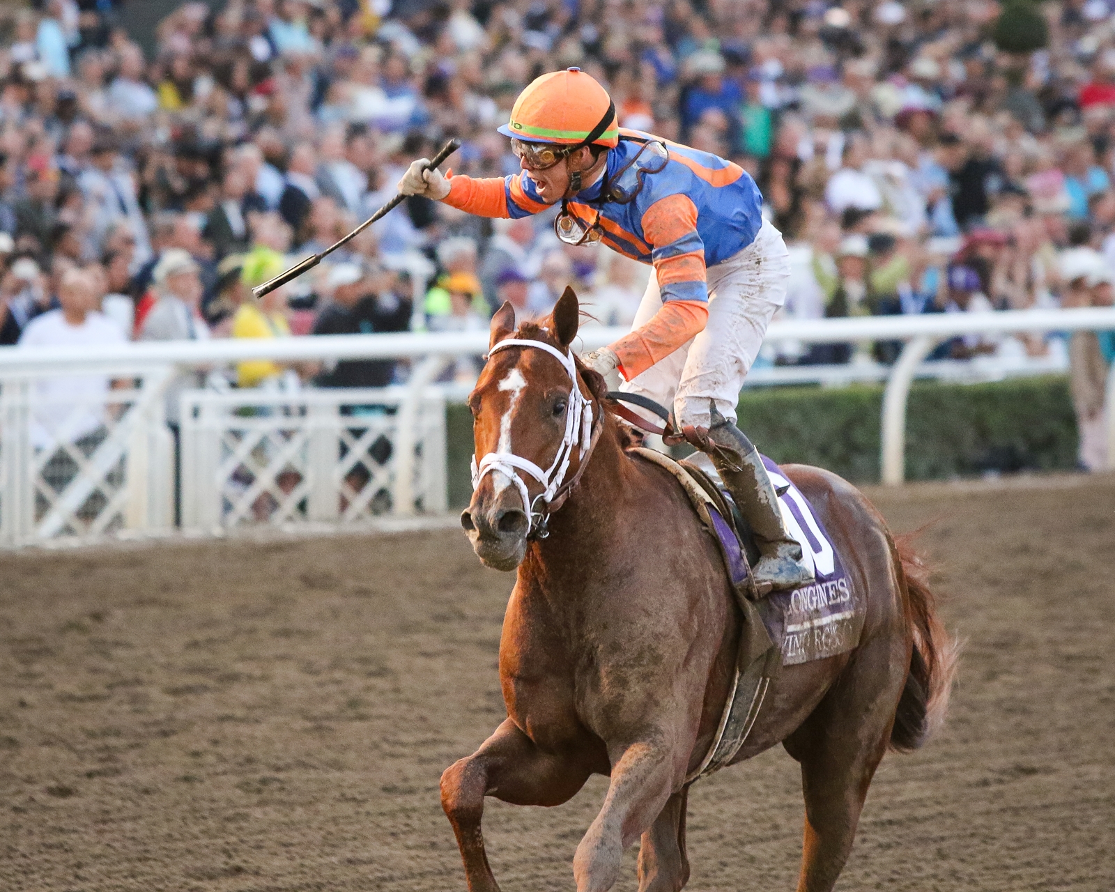 2019 Breeders Cup Saturday Slideshow BloodHorse