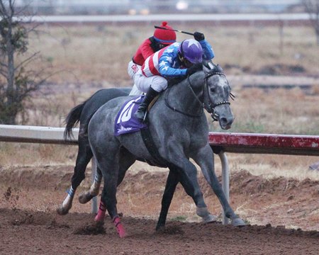 Fall Meet At Zia Park In Jeopardy Bloodhorse