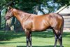 Palace Malice