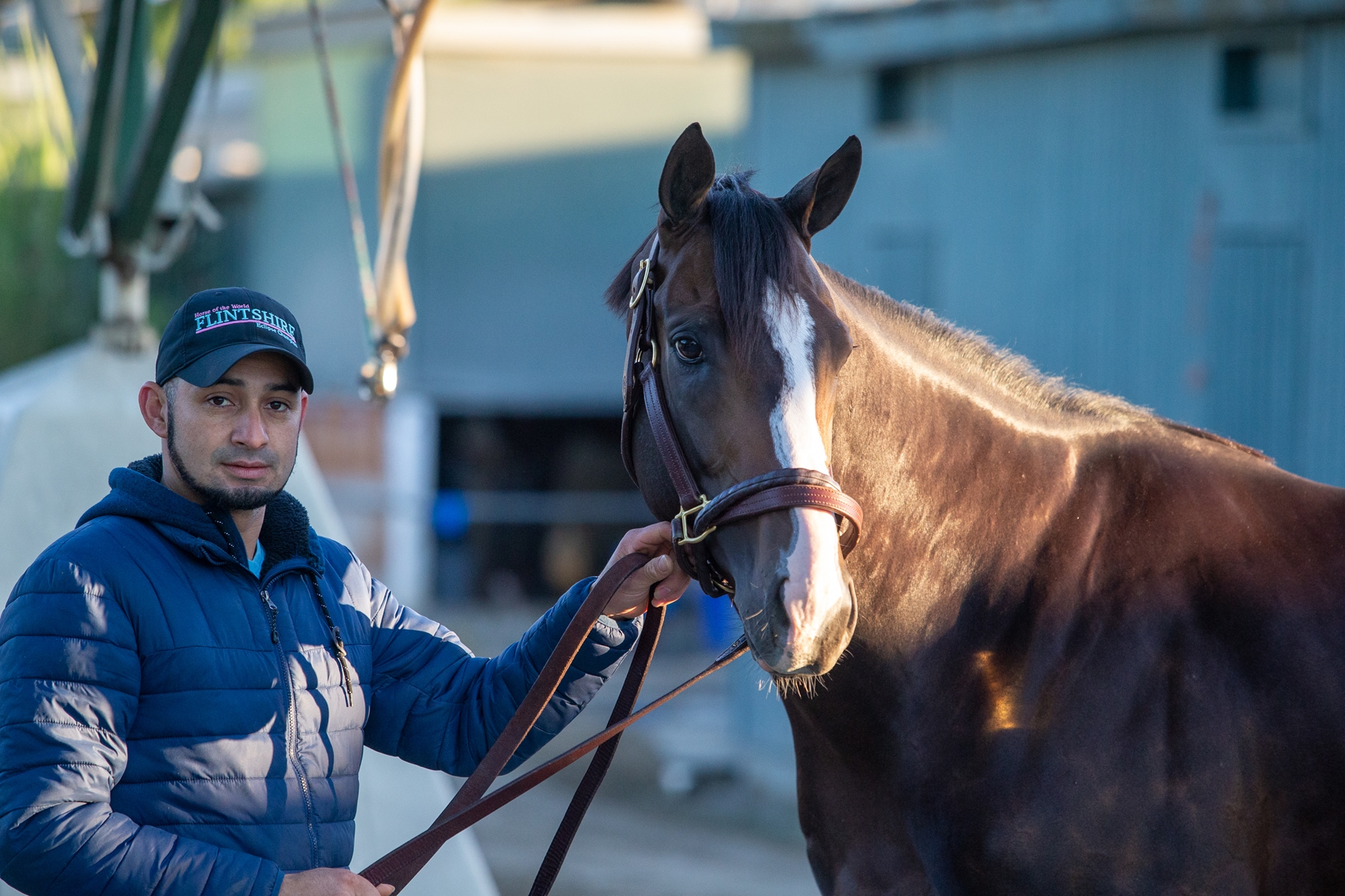 Bricks and Mortar - Horse Profile - BloodHorse