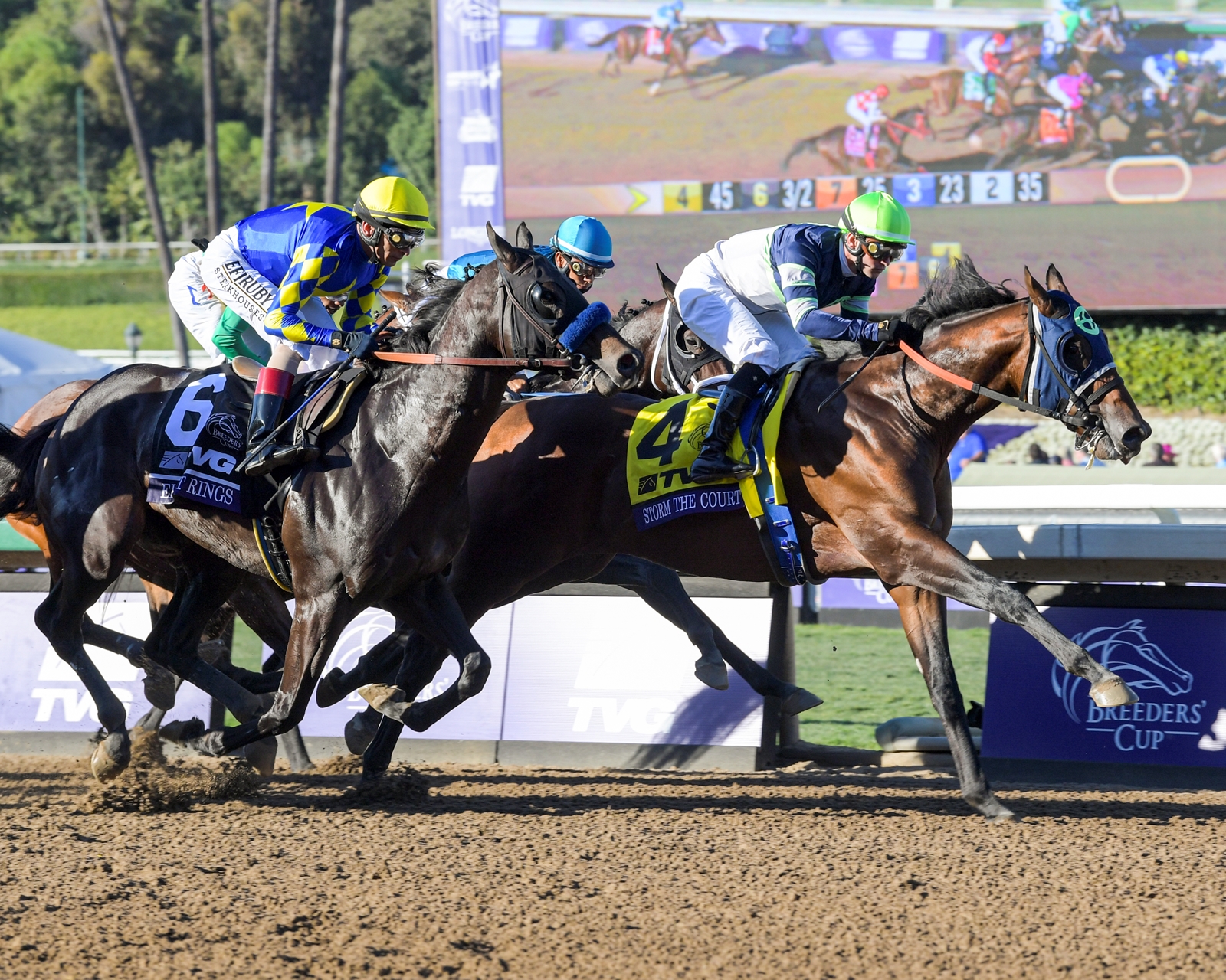 Del Mar Breeders Cup Seating Chart