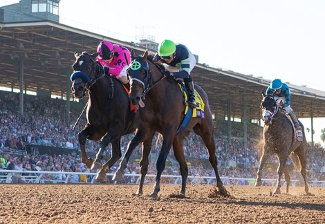 Santa Anita to Host Breeders' Cup for 11th Time in 2023 - BloodHorse